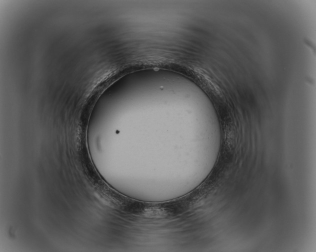 X0000091660591200709131511