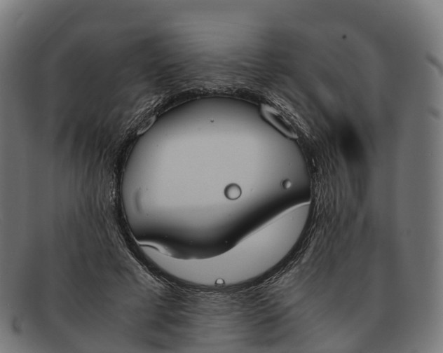 X0000091660593200709131511