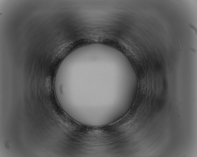 X0000091660594200709131511