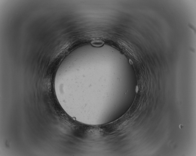 X0000091660595200709131511