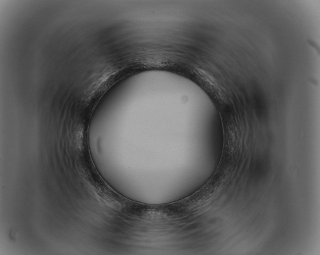 X0000091660596200709131511