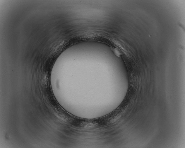 X0000091660597200709131511