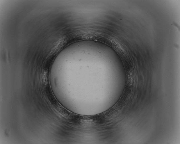 X0000091660598200709131511