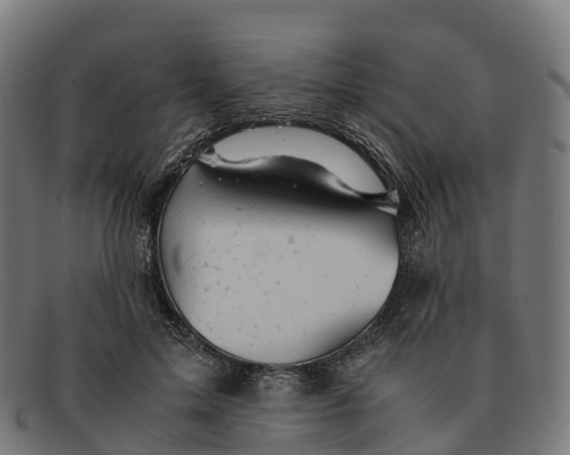 X0000091660599200709131511