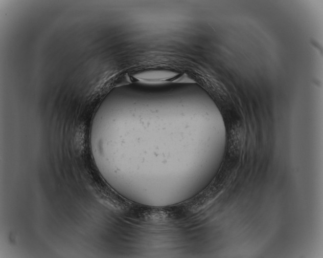 X0000091660600200709131511