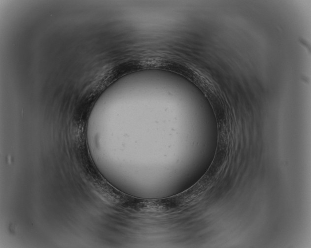 X0000091660601200709131511