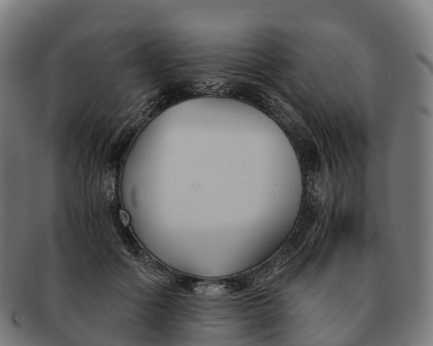 X0000091660602200709131511