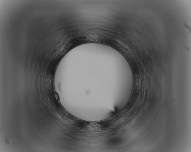 X0000091660603200709131511