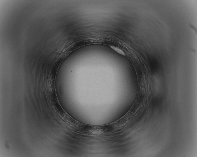 X0000091660604200709131511