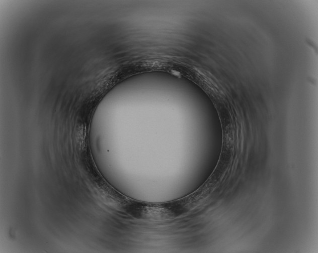 X0000091660605200709131511