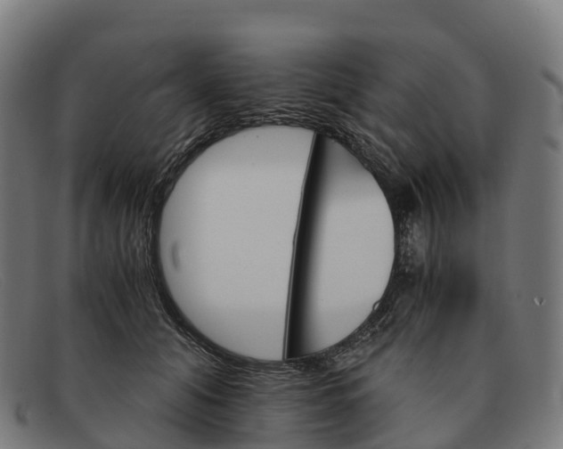 X0000091660608200709131511