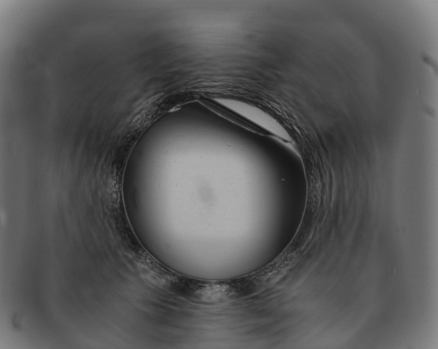 X0000091660609200709131511