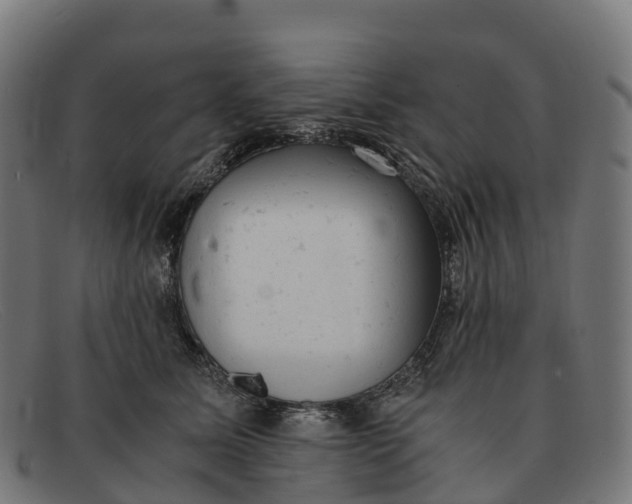 X0000091660611200709131511