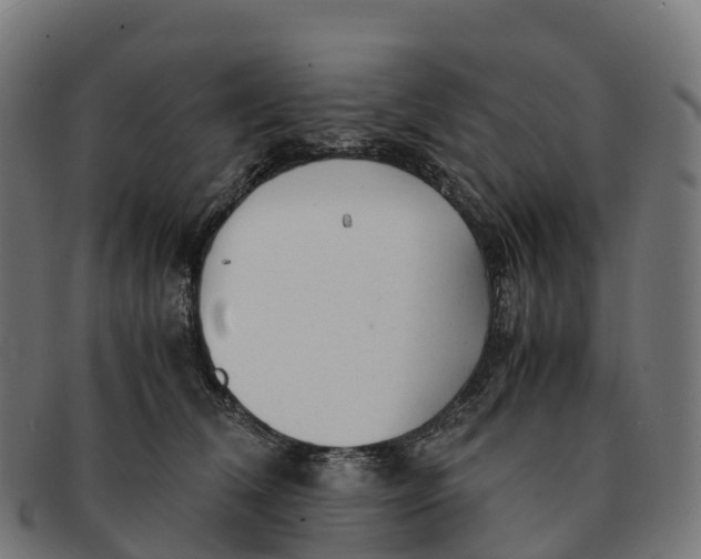 X0000091660612200709131511