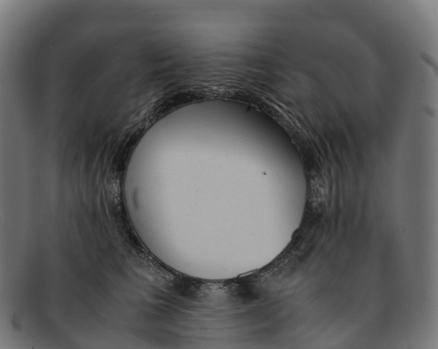 X0000091660613200709131511