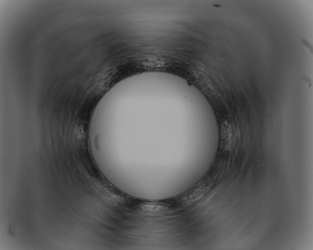 X0000091660614200709131511