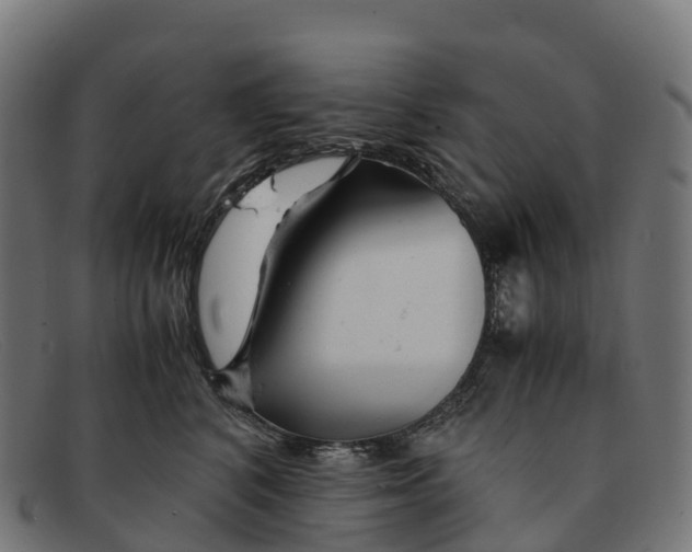 X0000091660616200709131511