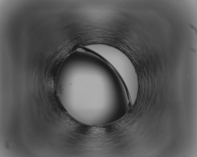 X0000091660617200709131511