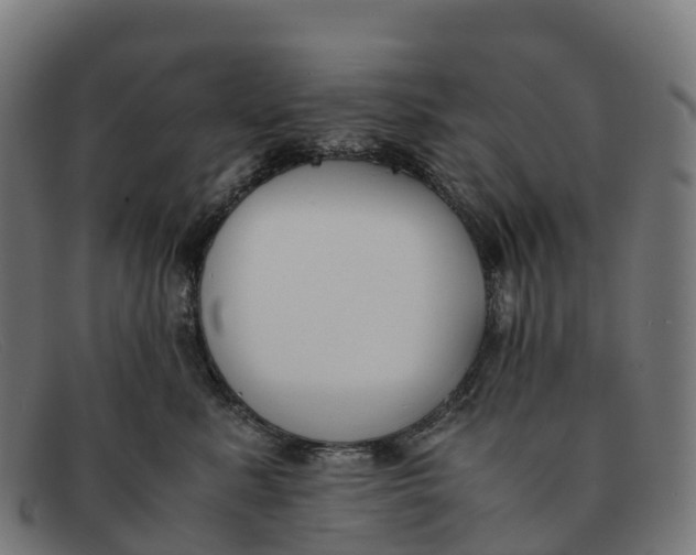 X0000091660619200709131511