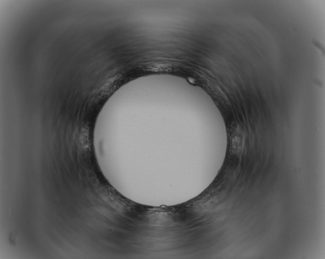 X0000091660620200709131511