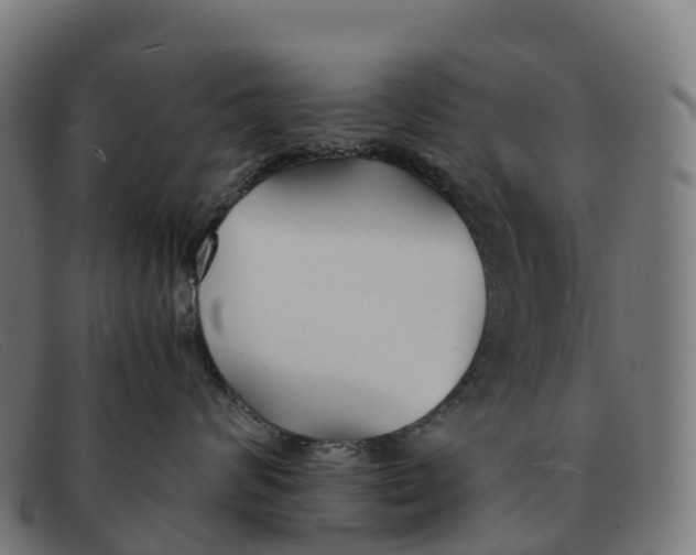 X0000091660624200709131511