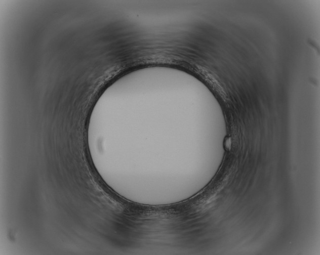 X0000091660625200709131510