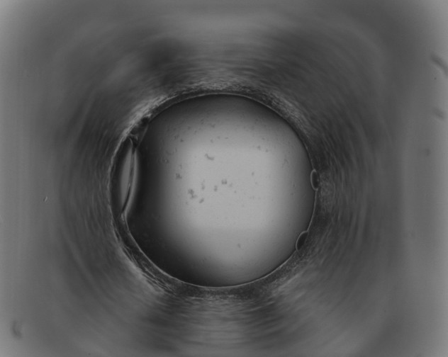 X0000091660626200709131510