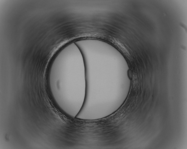 X0000091660628200709131510