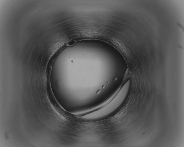 X0000091660630200709131510