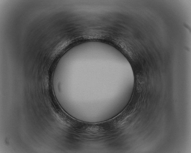 X0000091660631200709131510