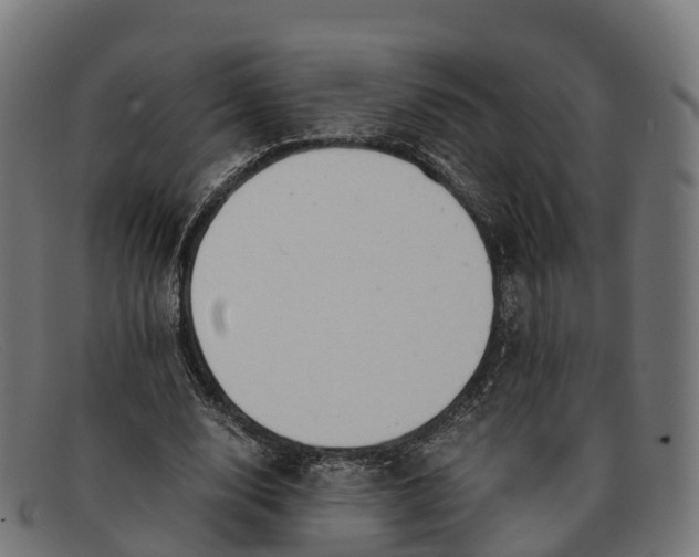 X0000091660632200709131510