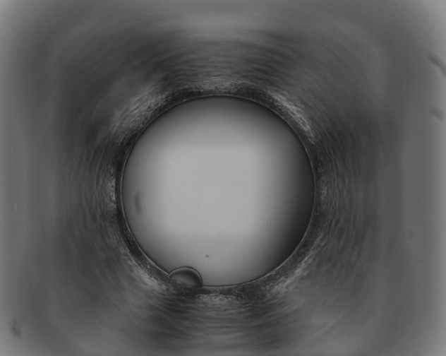 X0000091660633200709131510