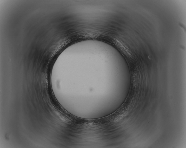 X0000091660634200709131510