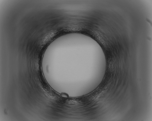 X0000091660635200709131510