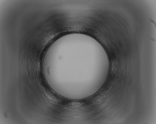 X0000091660636200709131510