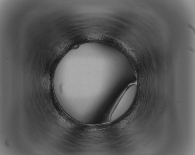 X0000091660637200709131510