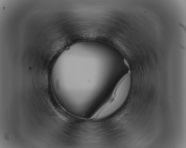 X0000091660638200709131510