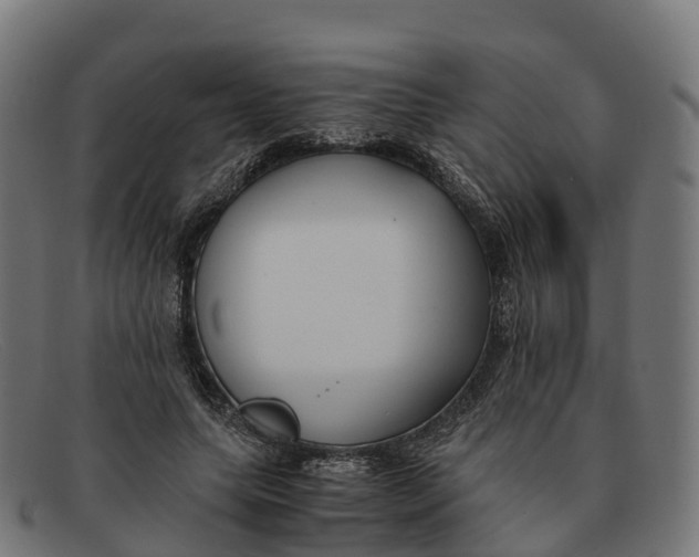 X0000091660639200709131511