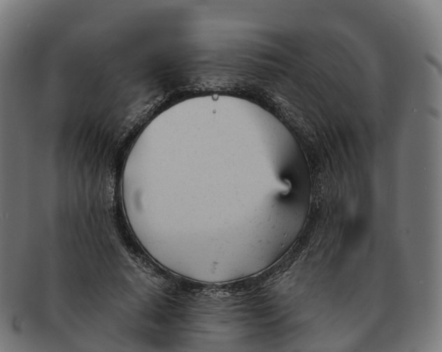 X0000091660640200709131511