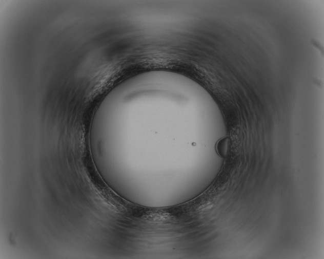 X0000091660642200709131511