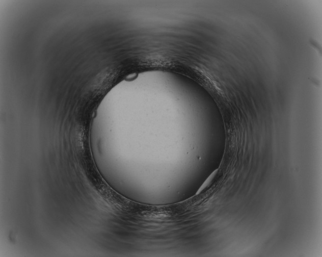 X0000091660643200709131511