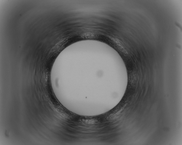 X0000091660645200709131511