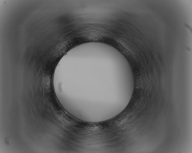 X0000091660646200709131511