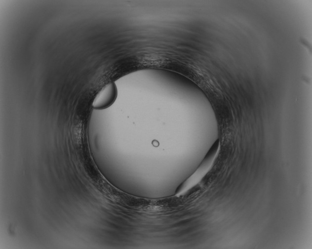 X0000091660647200709131511