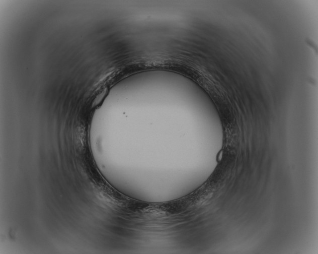 X0000091660648200709131511