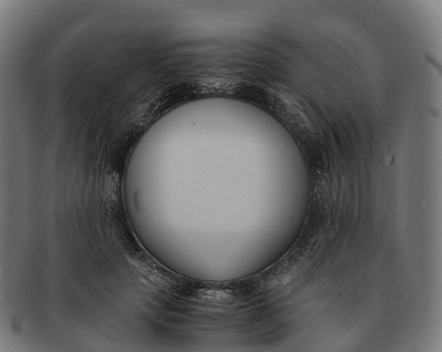 X0000091660649200709131511