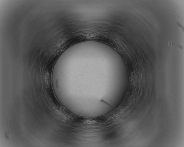 X0000091660650200709131511