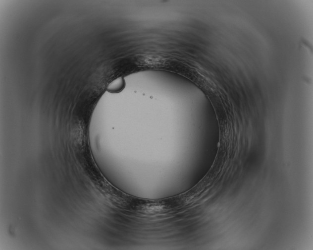 X0000091660651200709131511