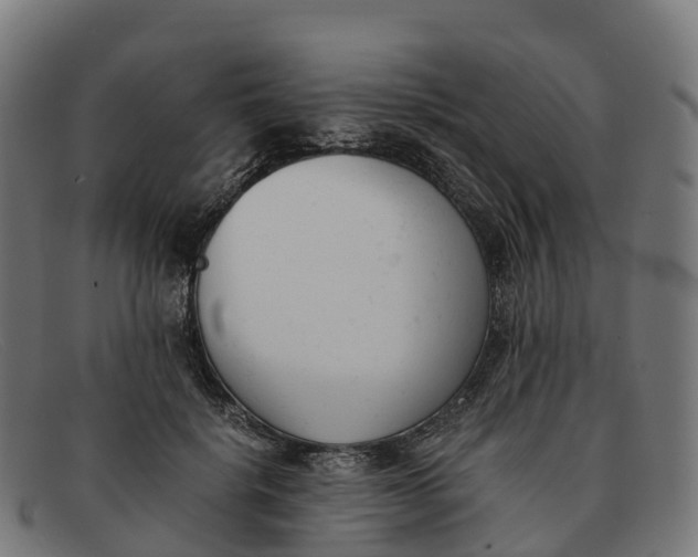 X0000091660652200709131511