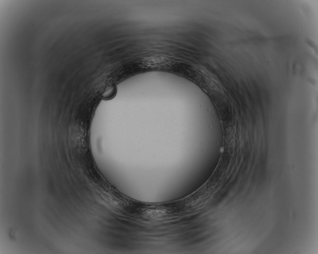 X0000091660653200709131511